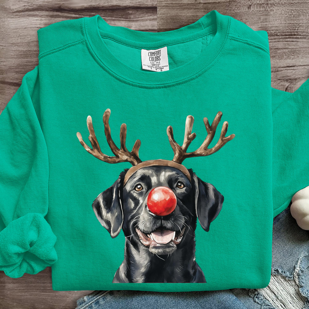 Funny Dog Christmas Art Print Sweatshirt