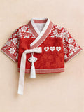 Women Concert-Inspired Jeogori Hanbok Top With Tassel